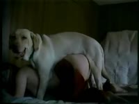 Big ass slut got her butthole penetrated by dog cock